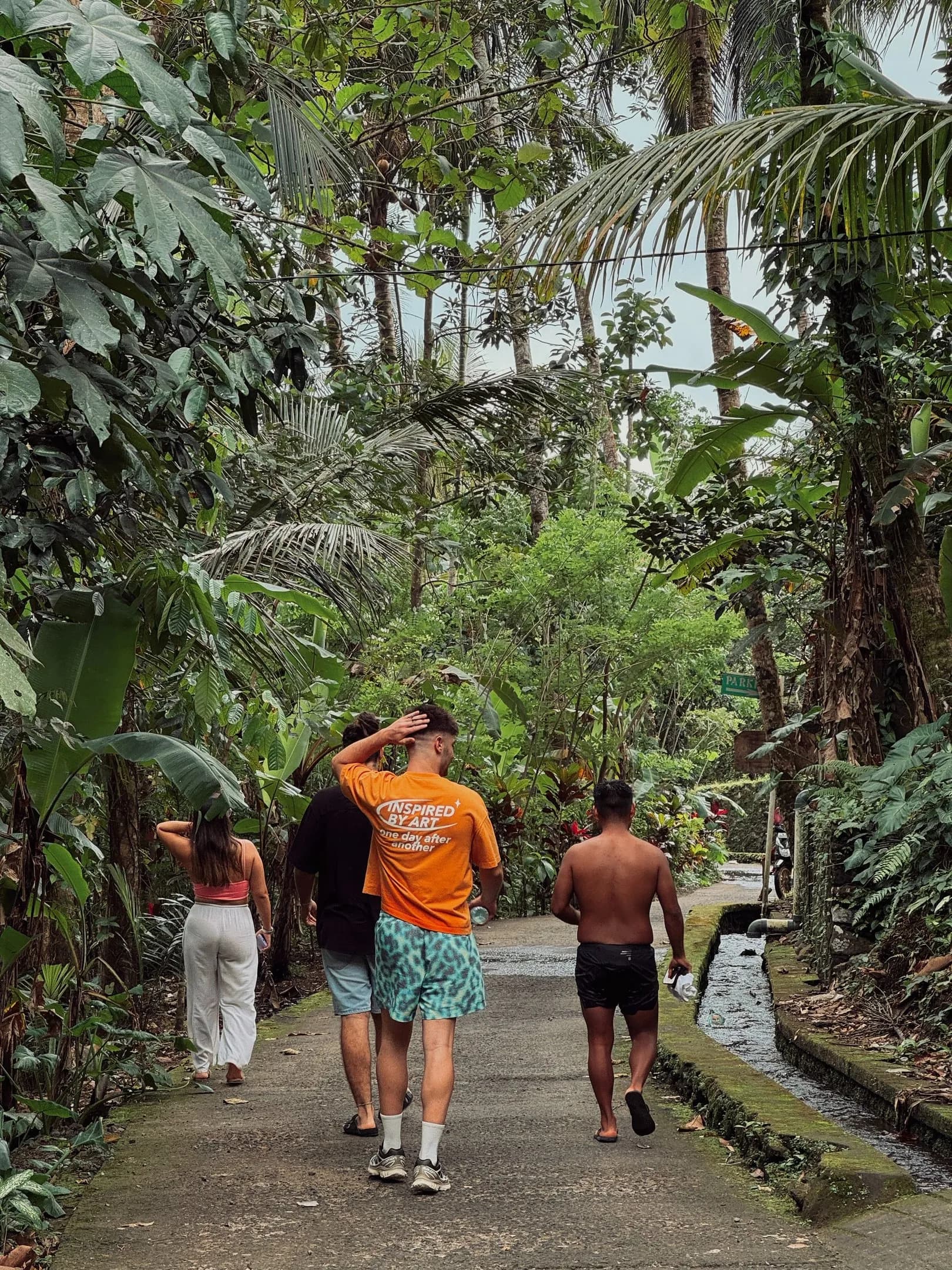Grupo de viajeros caminando por un sendero de selva